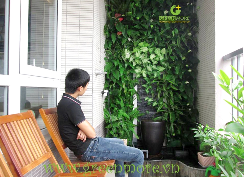 Khảo sát nhu cầu sử dụng vườn đứng của khách hàng