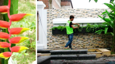 Cộng tác viên bảo dưỡng cây xanh