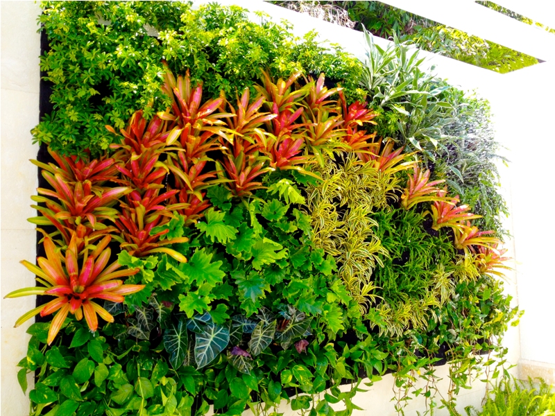 Thiết kế vườn đứng nhiệt đới tươi mát