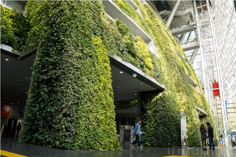 Vườn đứng ấn tượng ở tòa thị chính Seoul