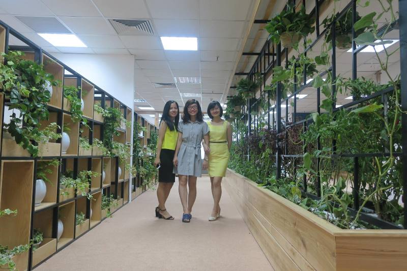 Văn phòng xanh 3.000m2 giữa lòng thủ đô