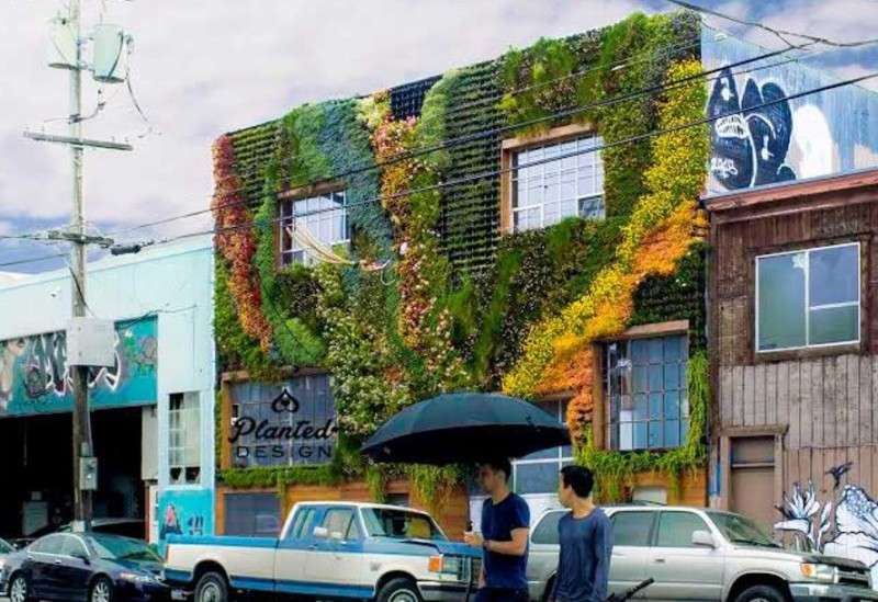 Vườn đứng xinh xắn ở San Francisco