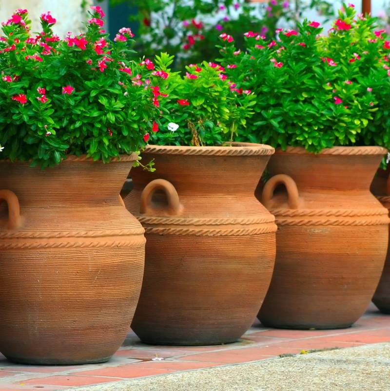 Thiết kế sân vườn với chậu hoa xinh xắn