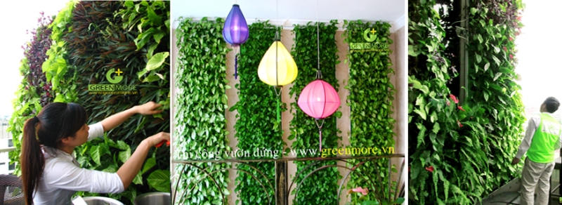 Thi công vườn đứng, vườn cây trên tường