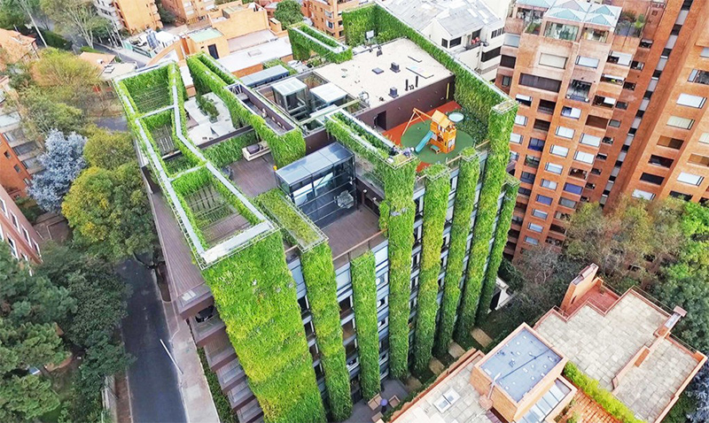 Vườn đứng lớn nhất thế giới tại Colombia