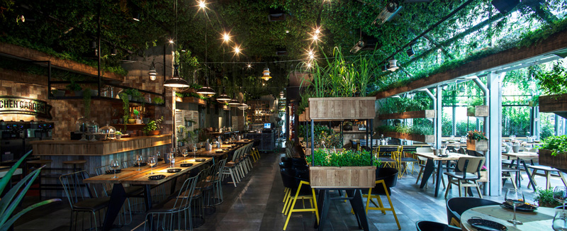 Nhà hàng – quán cafe sân vườn nổi bật giữa thành phố