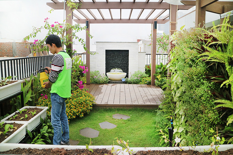Cách tự chăm sóc sân vườn đơn giản nhất