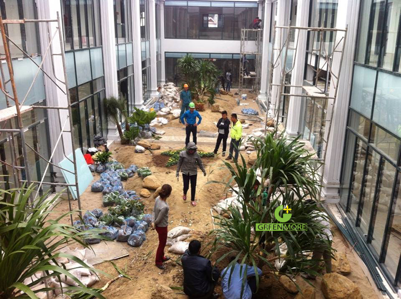 Dịch vụ thi công sân vườn – Greenmore Việt Nam