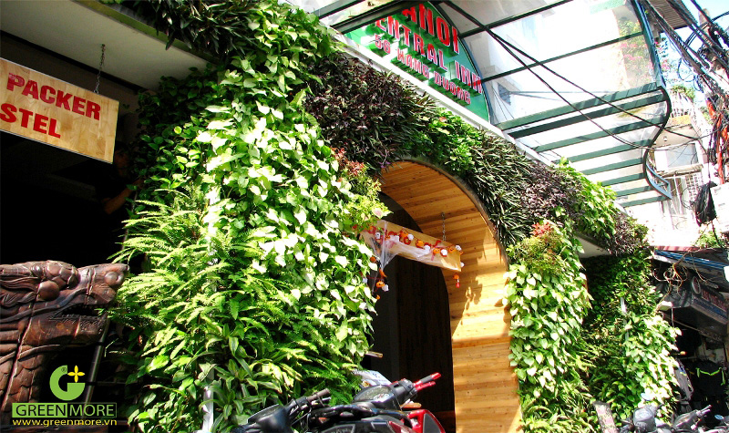 Những điều cần biết khi thi công vườn đứng