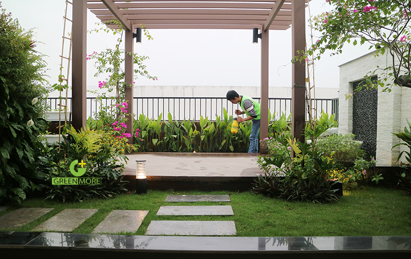 Hướng dẫn cách chăm sóc cây xanh trong sân vườn