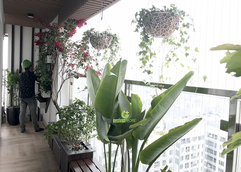 Hướng dẫn bạn cách làm vườn ban công xanh mát