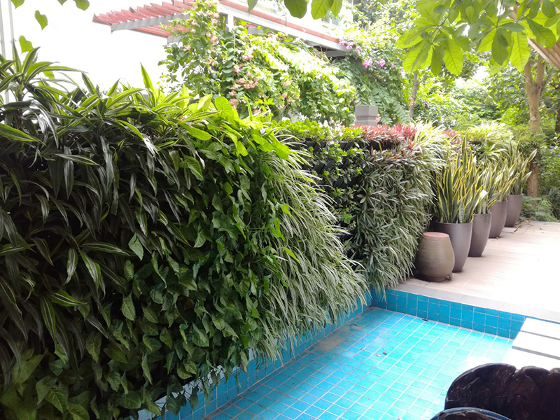 Những vườn đứng sáng tạo cho mọi không gian nhà bạn