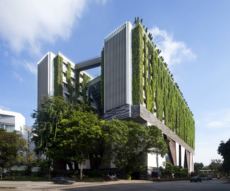 Công trình xanh trường học nghệ thuật tại Singapore