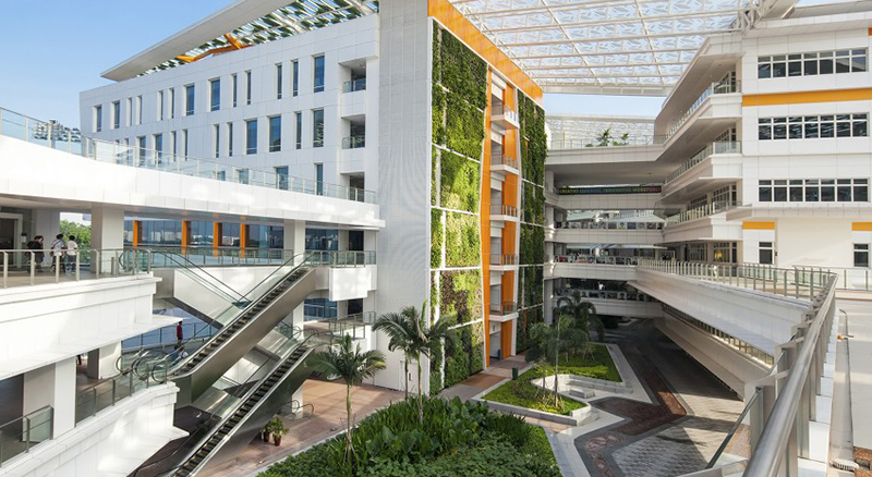 Vườn đứng tại Viện giáo dục kỹ thuật Singapore