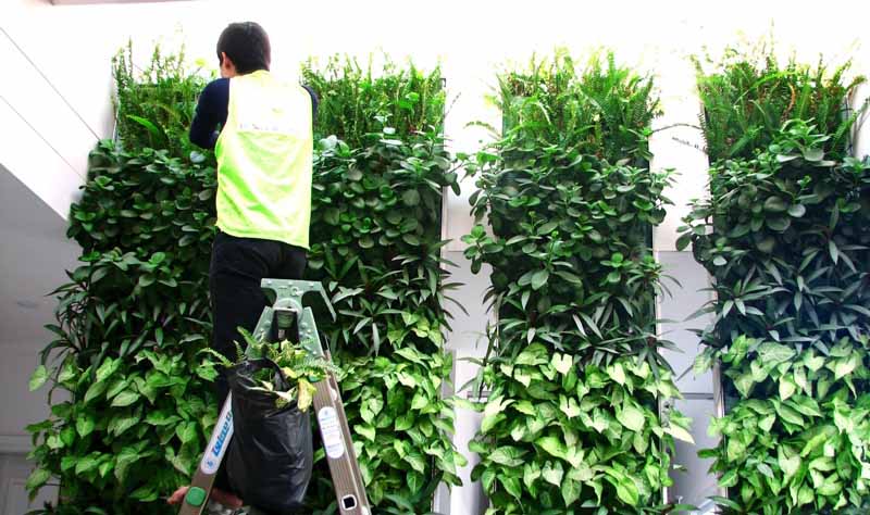 Tổng quan các hạng mục vườn đứng, vườn treo