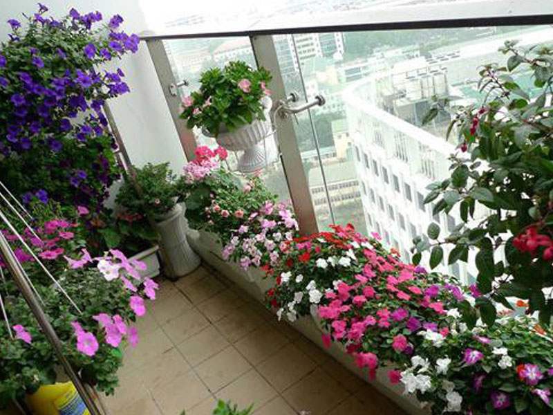 Cây xanh và hệ thống tưới cho vườn ban công