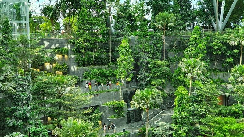 Thăm quan cảnh quan sân bay độc đáo Jewel Changi