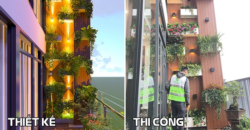 Chăm sóc vườn ban công chung cư Mỹ Đình Pearl sau tết