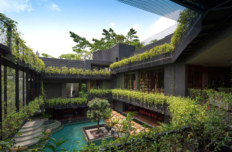 Ngôi nhà độc đáo với vườn trên mái hình ruộng bậc thang