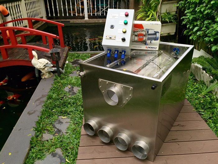Kinh nghiệm chọn máy bơm lọc nước hồ cá Koi ngoài trời phù hợp