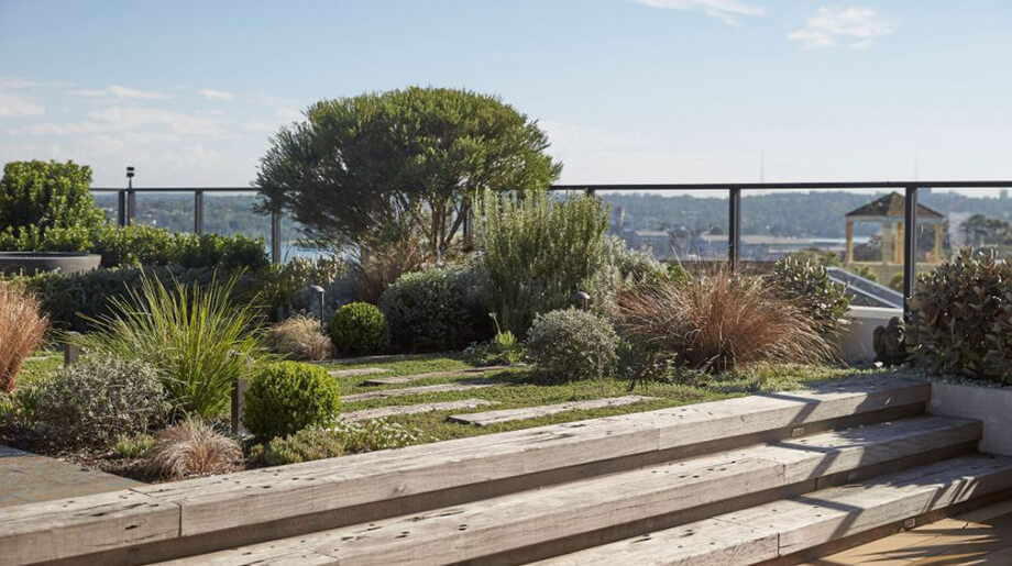 Khu vườn trên mái tuyệt vời này ở Rozelle, Sydney