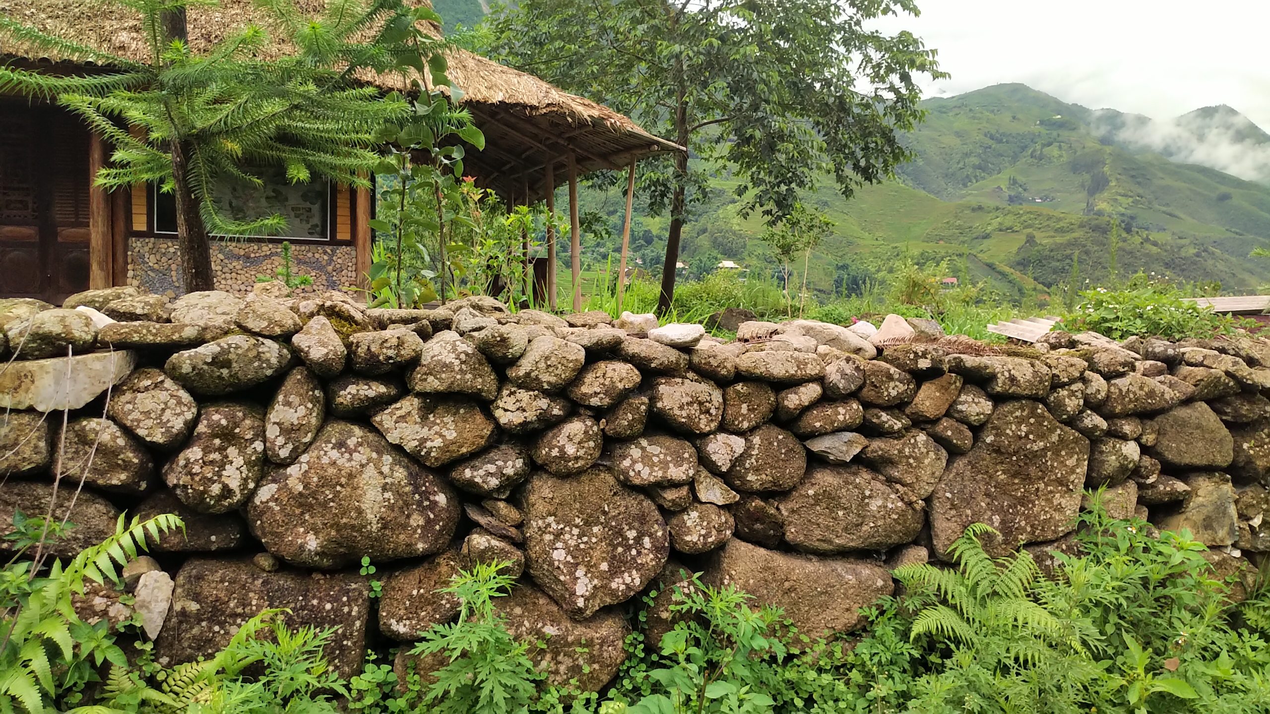 Hàng rào sân vườn đặc