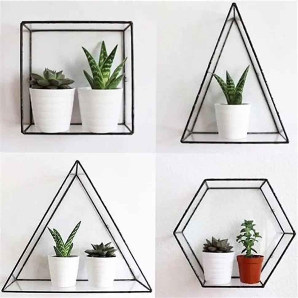 Tạo điểm nhấn cho sân vườn bằng chậu cây trên tường