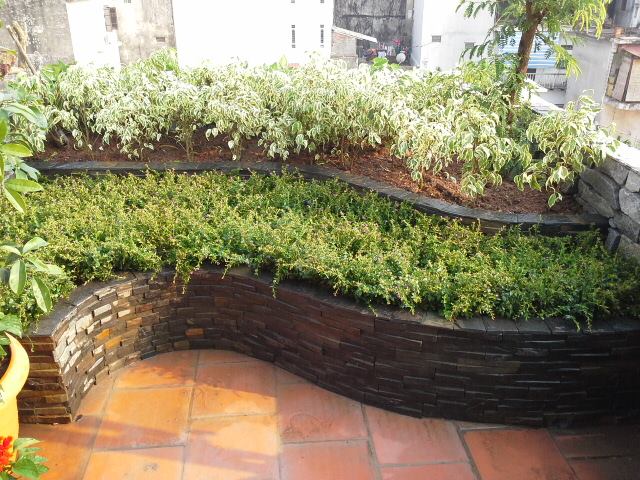 Bồn cây tô điểm cho cảnh quan sân vườn