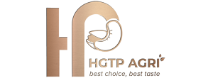 CÔNG TY TNHH XUẤT NHẬP KHẨ